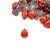 Пластиковая пуговица "Божья коровка", 15мм Пластиковая пуговица "Божья коровка", 15мм